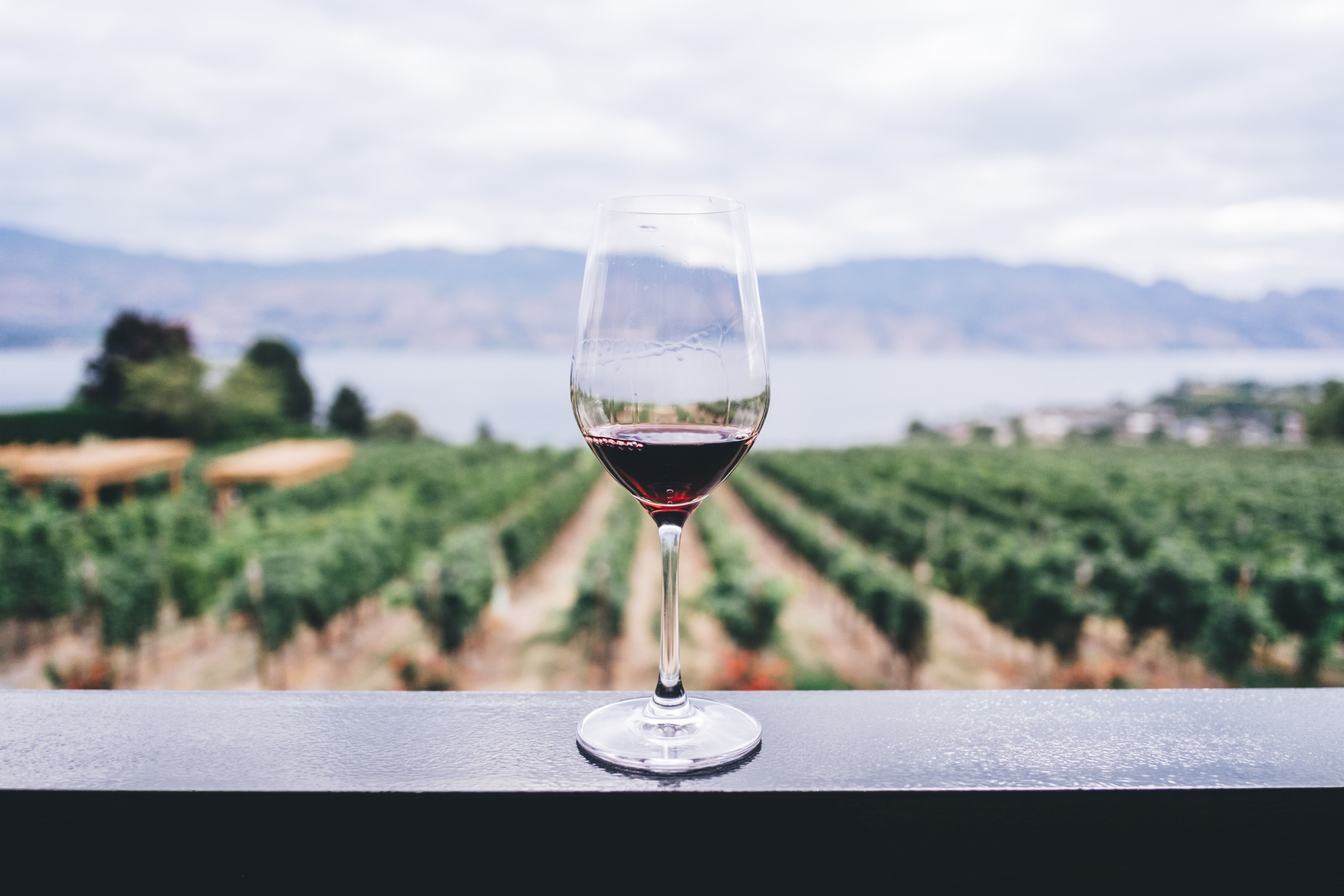 calice di vino rosso su davanzale sfondo vigna